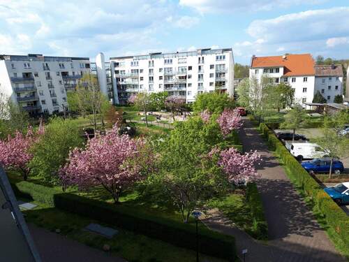 Wohnpark Böhlitz-Ehrenberg im Frühling - 