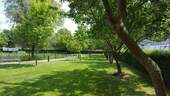Gepflegte Gartenanlage - 