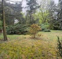 Idyllisch gelegenes Baugrundstück mit Pool - Forst (Lausitz) Forst-Stadt