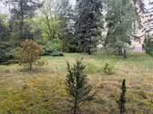 IMG_1349.jpeg - Grundstück zum Kaufen in Forst (Lausitz)