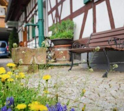 Hof - Charmante 3-Zi-Wohnung voll möbiliert
