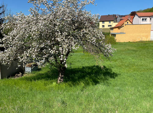 Grundstück - Grundstück in Bad Sulza