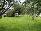 IMG_5539.jpeg - 