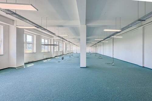 Lagerfläche (Beton u. Teppich) - Halle in Witten