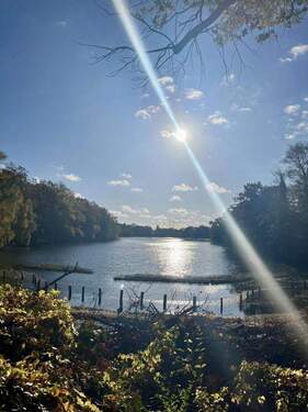 Umgebung: Plötzensee - 