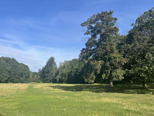 Umgebung: Rehberge - 