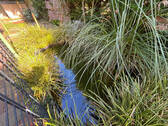 Bild 14 - 