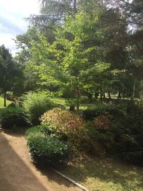 Innenhof - 3 Zimmer Etagenwohnung in Dresden