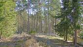 West nach Ost - 