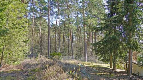 West nach Ost - 
