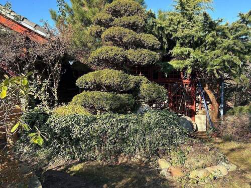 Haus-Grundstück 19.JPG - 