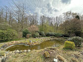 Teich - 