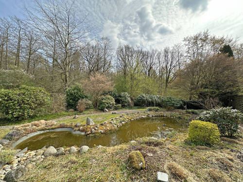 Teich - 
