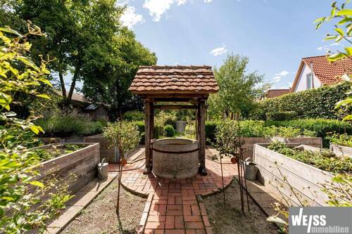 Garten mit Brunnen - 
