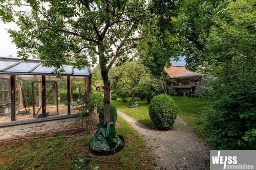 Garten mit Gewächshaus - 