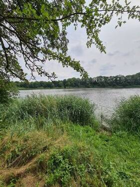 3 - Grundstück in Debnica