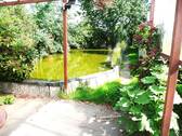 Teichanlage im Garten - 