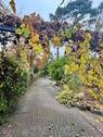 Zufahrt zur Garage - 