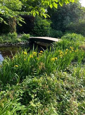 Brücke über Teich - 