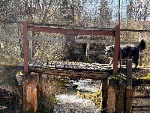 Wehr am Oberwasser - 