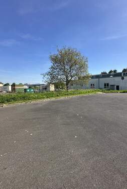 Freifläche hiner der Halle - 