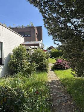 Seitlicher Zuweg zum Haupteingang - Halle in Mönchengladbach zum Kaufen