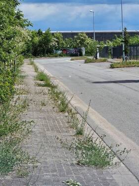 Straßenseite Sackgasse - 