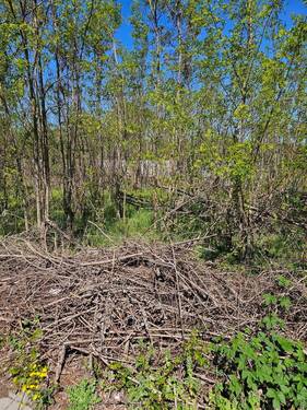 Abgrenzung letztes Flurstück - Grundstück zum Kaufen in Brandenburg