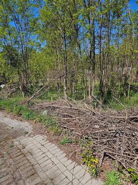 Blick von der Straße - Grundstück in Brandenburg