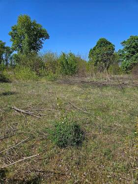 Freifläche - Grundstück in Brandenburg zum Kaufen