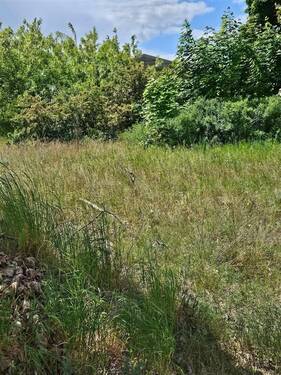 von der Wasserseite zur Freifläche - 