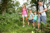 Die Felder und Waldwege... - 