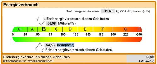 Energieausweis - 