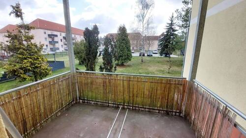 20260331_121341.jpg - 