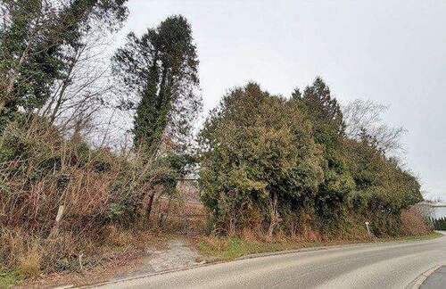 Zufahrt zum Grundstück - 