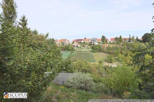 Blick vom Terrassengarten - 