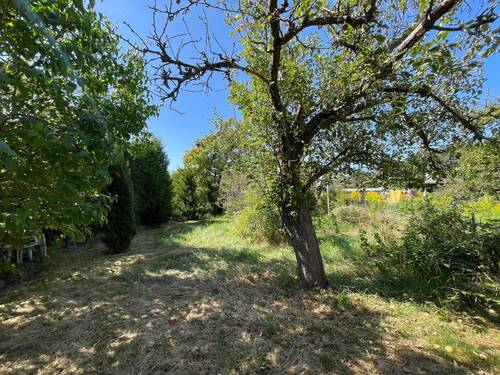 Blick ins Grundstück - 3 Zimmer Doppelhaushälfte in Leipzig