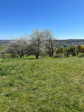 IMG-20260414-WA0010.jpg - Baugrundstück in einer Sackgasse von Biesingen zu verkaufen!