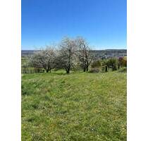 Baugrundstück in einer Sackgasse von Biesingen zu verkaufen! - Blieskastel