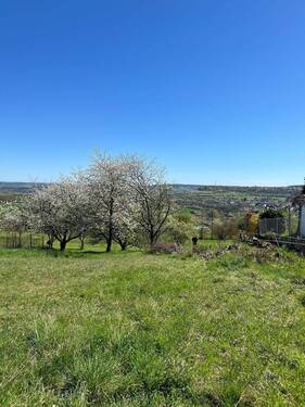 e92343b8-10af-4a5a-a838-2dd22140baf0_20260414_1445 - Grundstück in Blieskastel