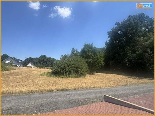 Blick von Westen - Grundstück in Schwalmstadt / Wiera