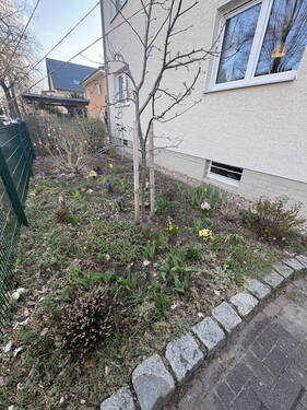 Vorgarten - 