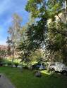 Umgebung - 2 Zimmer Etagenwohnung zur Miete in Halle (Saale)