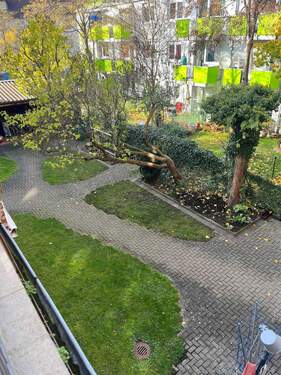 Blick in den Garten.jpg - 