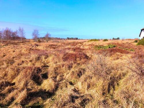 Grundstücksansicht - Grundstück zum Kaufen in Vitte