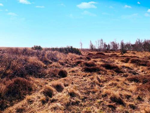 Grundstücksansicht - Grundstück in Vitte