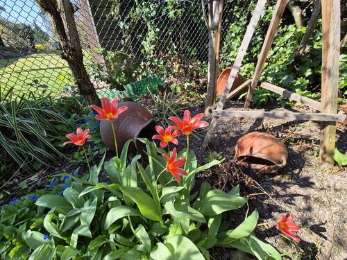 Garten - 
