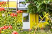 Garten - 4 Zimmer Einfamilienhaus zum Kaufen in Hückelhoven