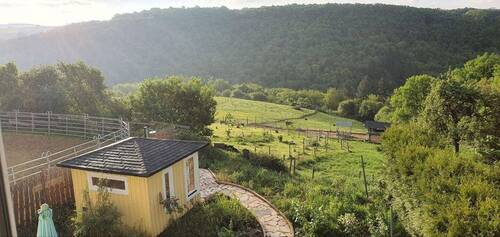 Ausblick 1. OG auf Hausweide - Idyllischer, sanierter Pferdehof mit 8 ha Weideland