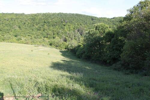 Hausweide - 